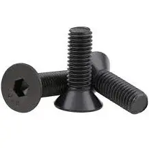 Differential Cover Flat Head Screw (4) 1