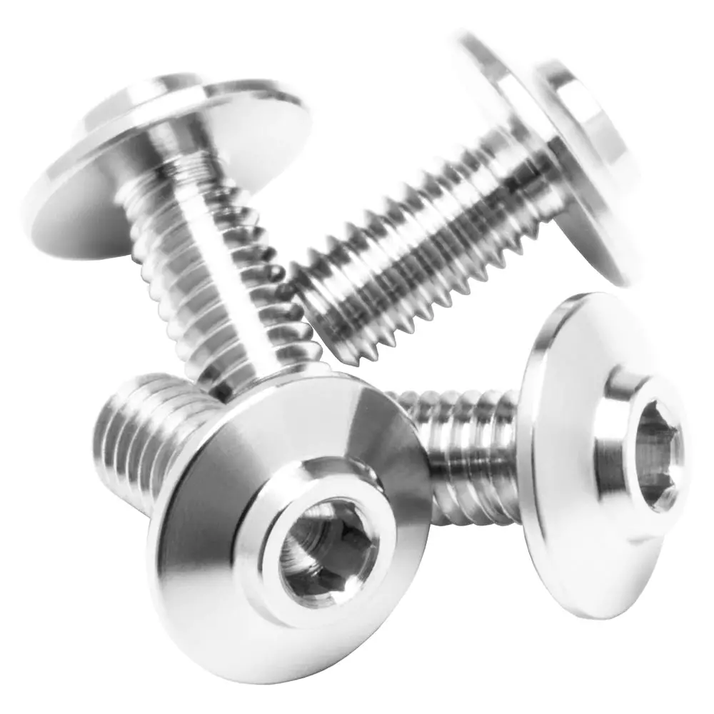Pro Duty Titanium Motor Screws Lowpro Head 1